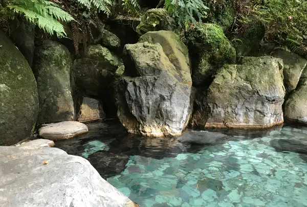 奥湯河原温泉 青巒荘（せいらんそう）の写真・動画_image_359552