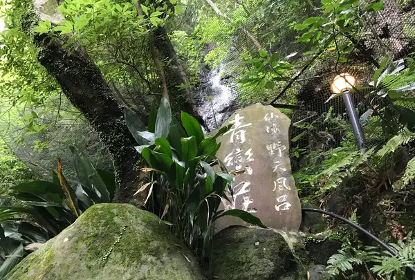 奥湯河原温泉 青巒荘（せいらんそう）の写真・動画_image_359553