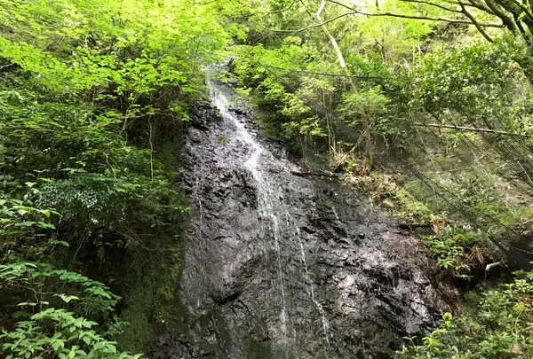 奥湯河原温泉 青巒荘（せいらんそう）の写真・動画_image_359593