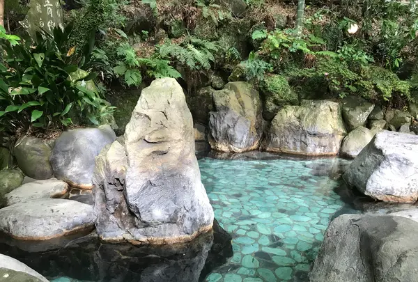 奥湯河原温泉 青巒荘（せいらんそう）の写真・動画_image_359596