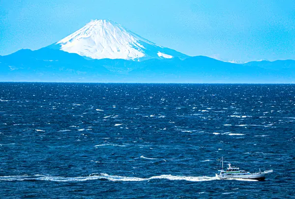 北条海岸の写真・動画_image_359601