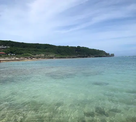 大度浜海岸の写真・動画_image_359623
