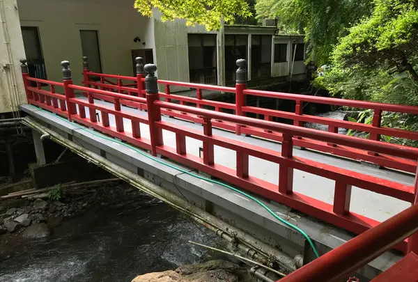 奥湯河原温泉 青巒荘（せいらんそう）の写真・動画_image_359627