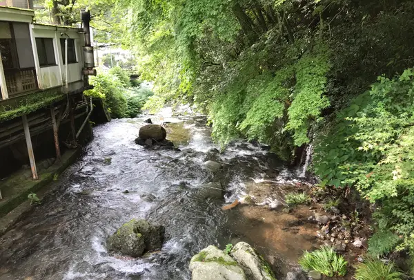 奥湯河原温泉 青巒荘（せいらんそう）の写真・動画_image_359628