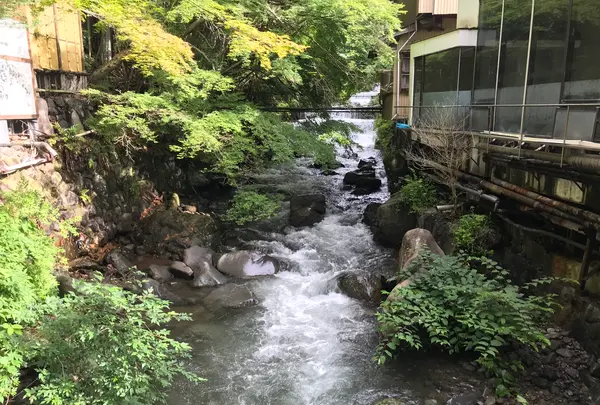 奥湯河原温泉 青巒荘（せいらんそう）の写真・動画_image_359629