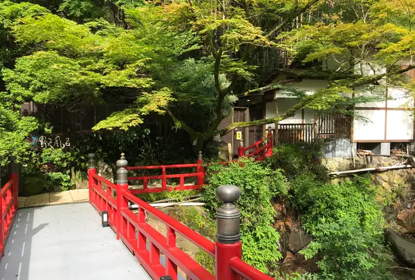 奥湯河原温泉 青巒荘（せいらんそう）の写真・動画_image_359630