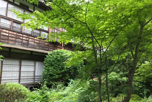 奥湯河原温泉 青巒荘（せいらんそう）の写真・動画_image_359637