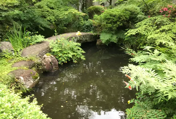 奥湯河原温泉 青巒荘（せいらんそう）の写真・動画_image_359639