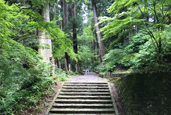 大雄山最乗寺の写真・動画_image_359732