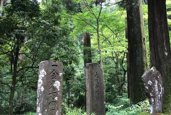 大雄山最乗寺の写真・動画_image_359733