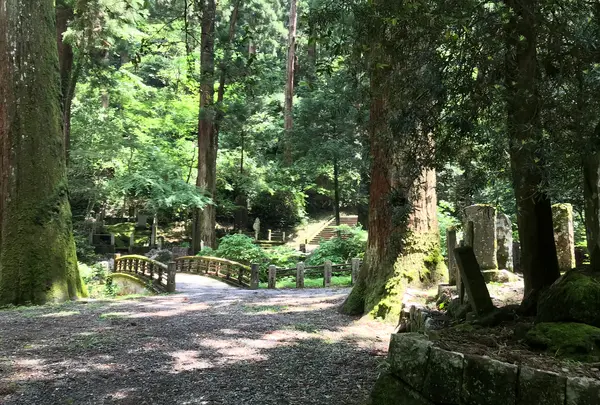 大雄山最乗寺の写真・動画_image_359735