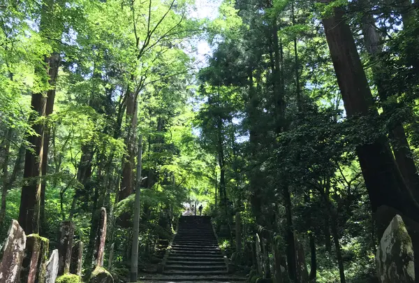 大雄山最乗寺の写真・動画_image_359741