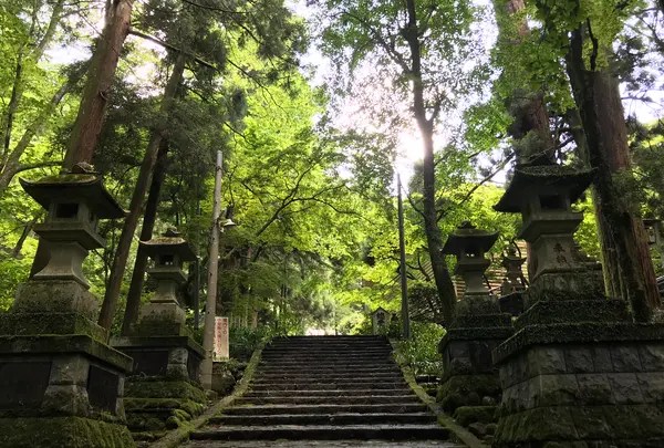 大雄山最乗寺の写真・動画_image_359743