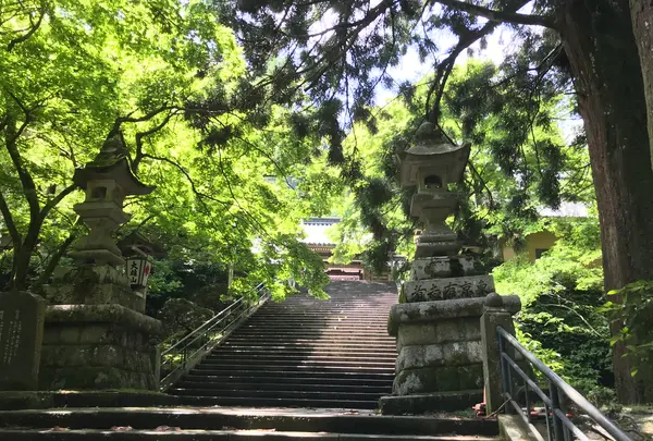 大雄山最乗寺の写真・動画_image_359745