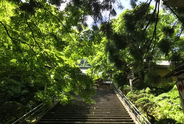 大雄山最乗寺の写真・動画_image_359746