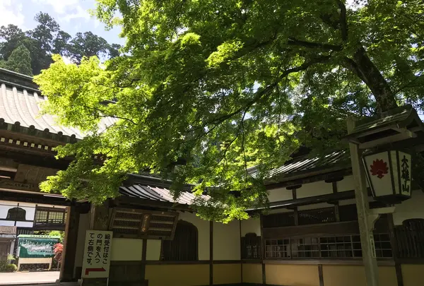 大雄山最乗寺の写真・動画_image_359747