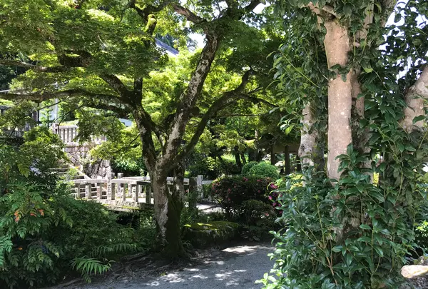 大雄山最乗寺の写真・動画_image_359751