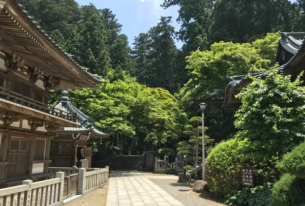 大雄山最乗寺の写真・動画_image_359752
