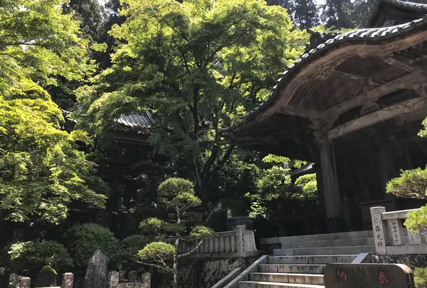 大雄山最乗寺の写真・動画_image_359753
