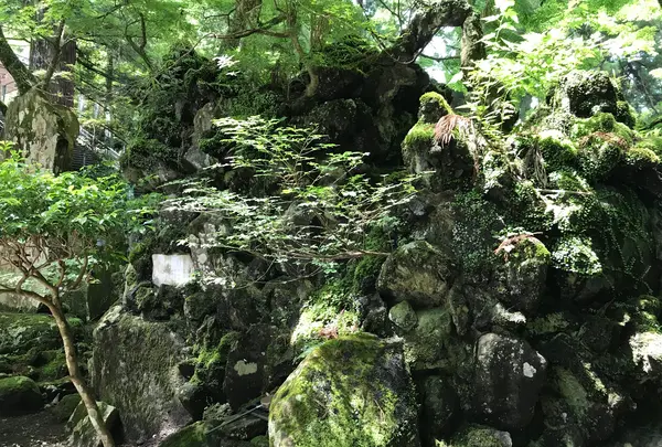 大雄山最乗寺の写真・動画_image_359826