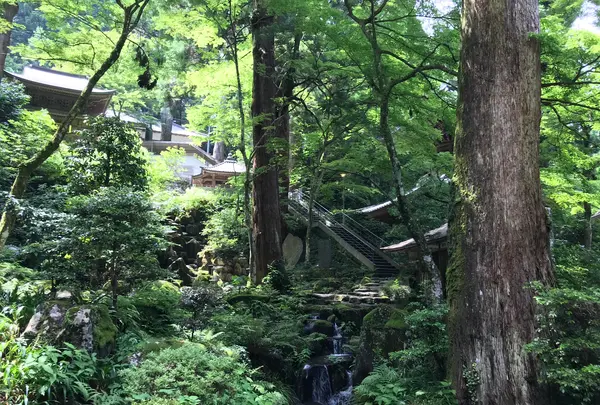 大雄山最乗寺の写真・動画_image_359827