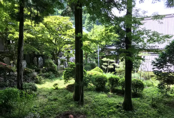 大雄山最乗寺の写真・動画_image_359828