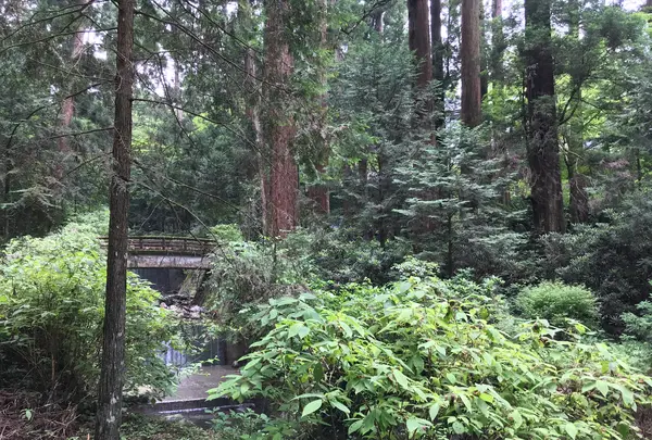 大雄山最乗寺の写真・動画_image_359832
