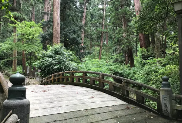 大雄山最乗寺の写真・動画_image_359833