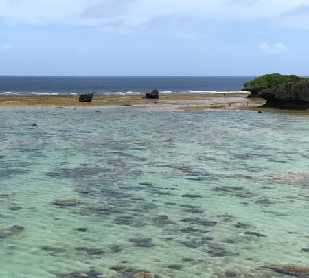 ザネー浜の写真・動画_image_359834