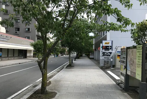 小田原城址公園の写真・動画_image_359859