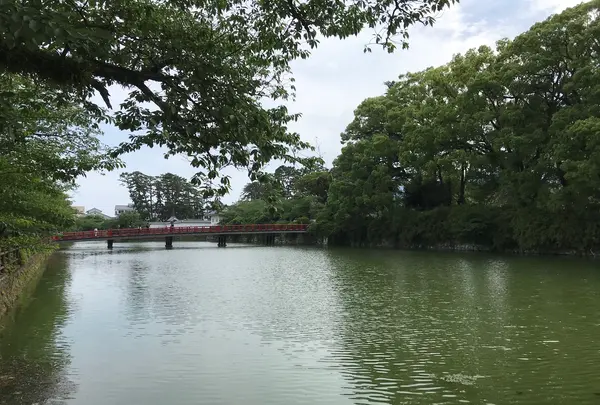 小田原城址公園の写真・動画_image_359860