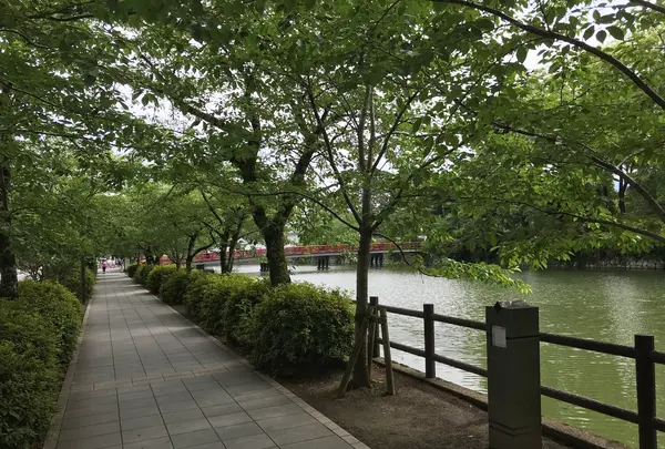 小田原城址公園の写真・動画_image_359861