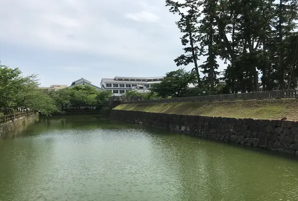 小田原城址公園の写真・動画_image_359865
