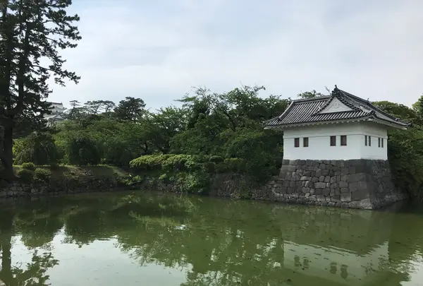小田原城址公園の写真・動画_image_359867