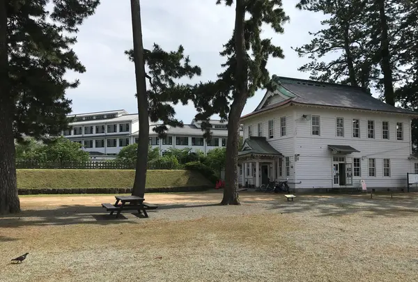 小田原城址公園の写真・動画_image_359869