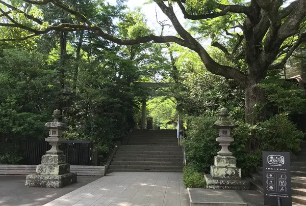 小田原城址公園の写真・動画_image_359881