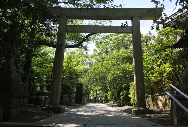 小田原城址公園の写真・動画_image_359882
