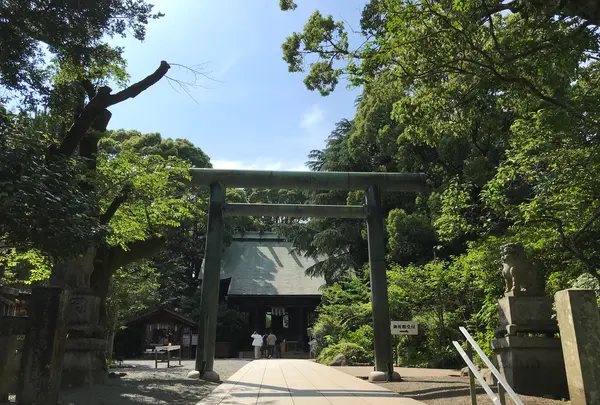 小田原城址公園の写真・動画_image_359885