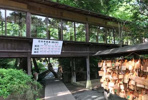 小田原城址公園の写真・動画_image_359895