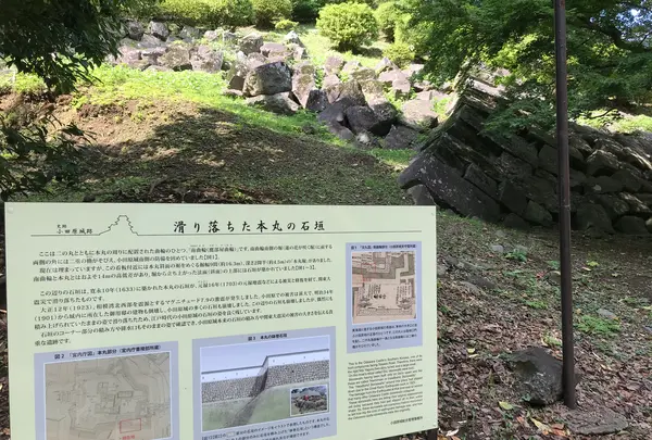 小田原城址公園の写真・動画_image_359898