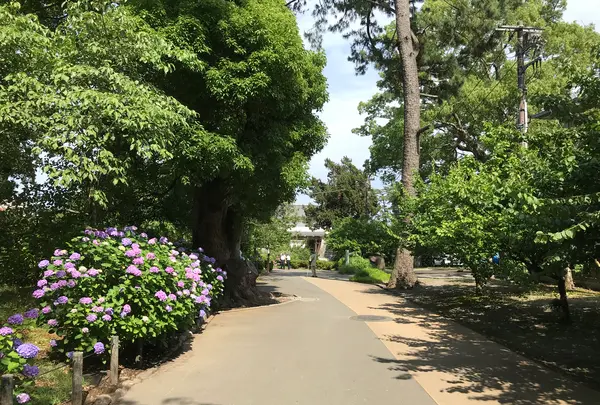 小田原城址公園の写真・動画_image_359899