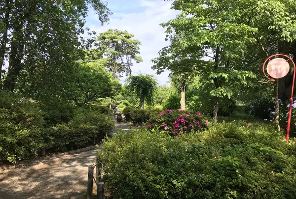 小田原城址公園の写真・動画_image_359900