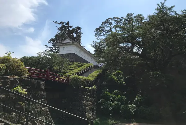 小田原城址公園の写真・動画_image_359912