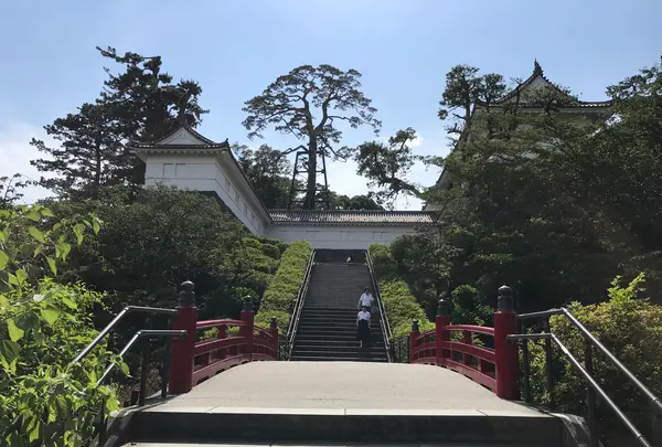 小田原城址公園の写真・動画_image_359913