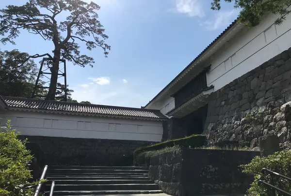 小田原城址公園の写真・動画_image_359915