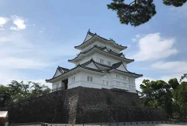 小田原城址公園の写真・動画_image_359946