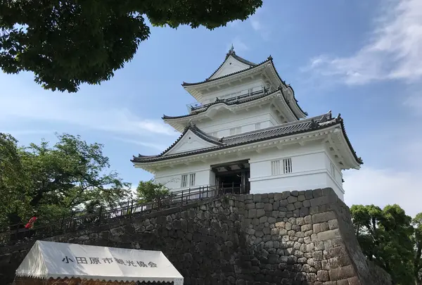 小田原城址公園の写真・動画_image_359947