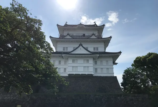 小田原城址公園の写真・動画_image_359948