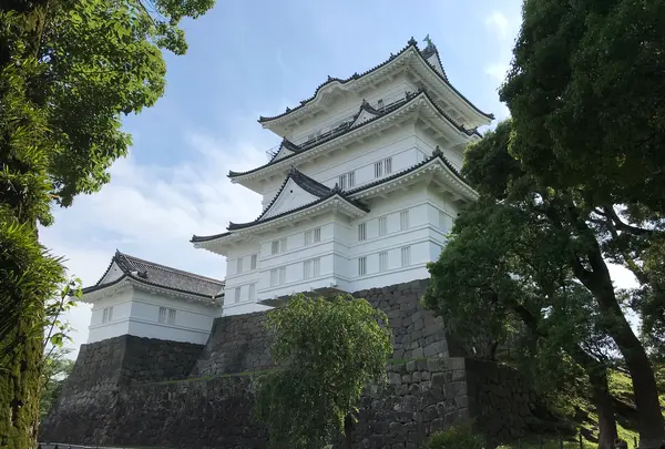 小田原城址公園の写真・動画_image_359949