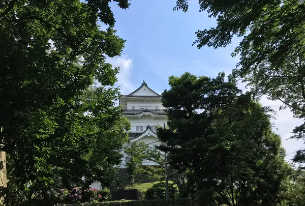 小田原城址公園の写真・動画_image_359950